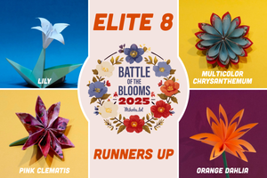Elite 8 Runners Up