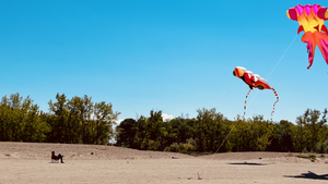 Bill, a kite enthusiast, enjoys the sunshine along the Lake Erie shore.