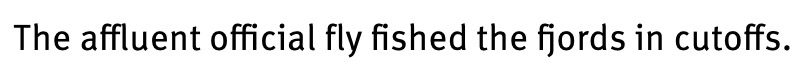 FF Meta, a short-lived experiment