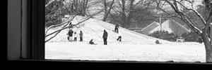 One of the things I love about where we live is that when it snows, the neighborhood kids come to sled down this little hill right across the street.