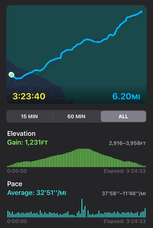 Hiking Coronado National Forest, Pusch Ridge Wilderness (6.2 miles)