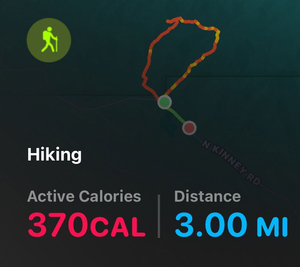 Hiking Saguaro National Park (3 miles)