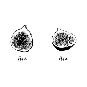 Fig 1 and fig 2