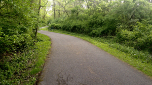 I snapped this pic along the trail during our Wednesday run/walk.