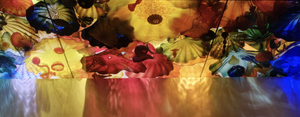 Overlapping Dale Chihuly glass pieces, suspended from the ceiling and illuminated from above, cast a vibrant kaleidoscopic effect on the walls below.