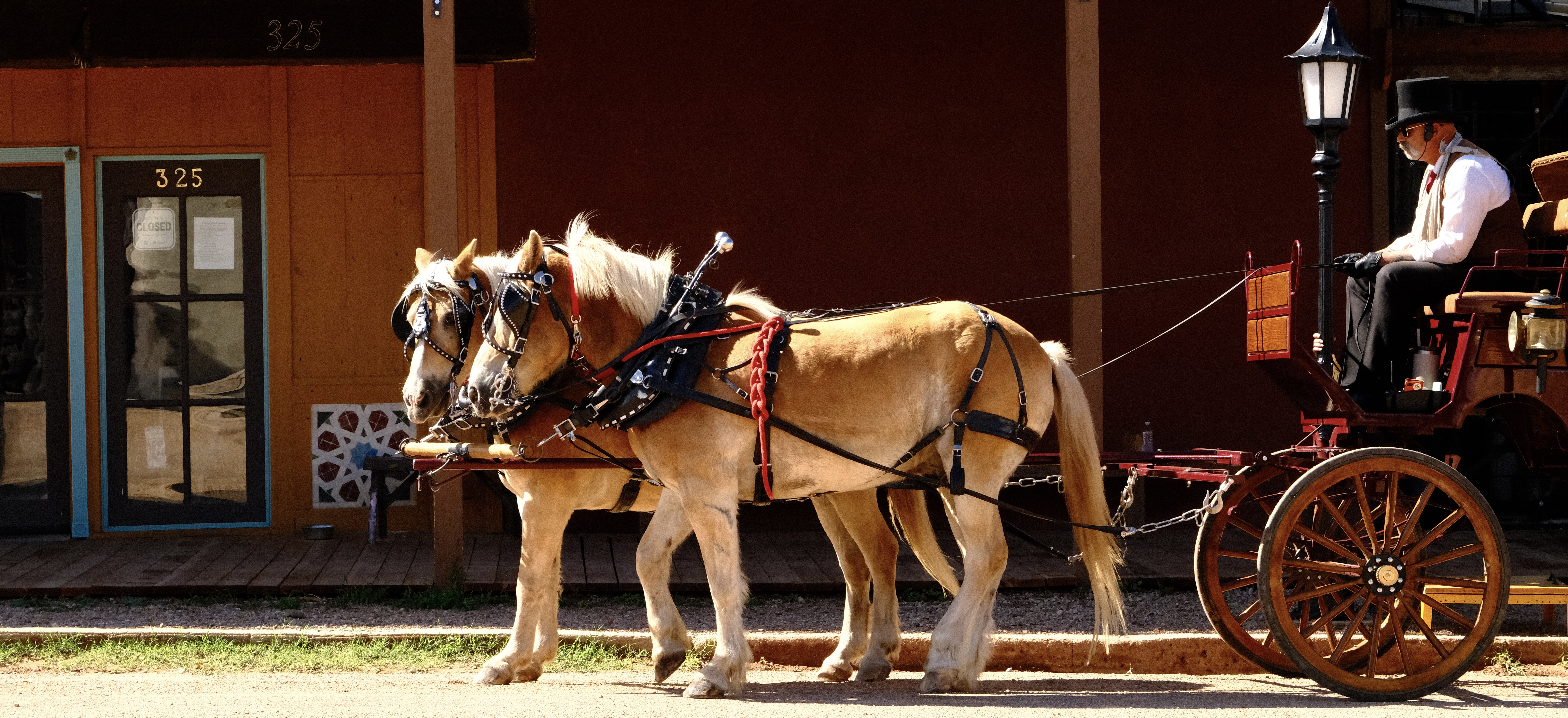 Tombstone Horses